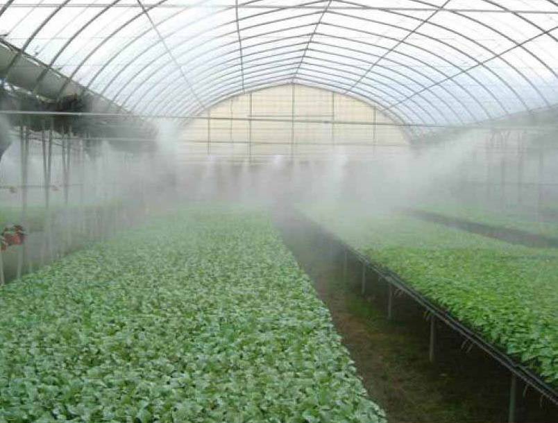 مه پاش گلخانه آذر تجهیز - کاربردهای سیستم مه‌ پاش